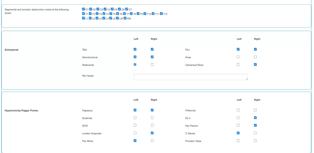 massage SOAP notes template