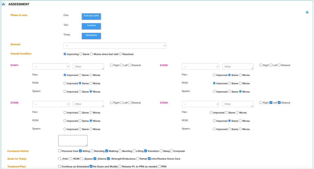 massage SOAP notes template used for assessment
